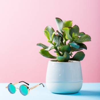 See it styled on Instagram.